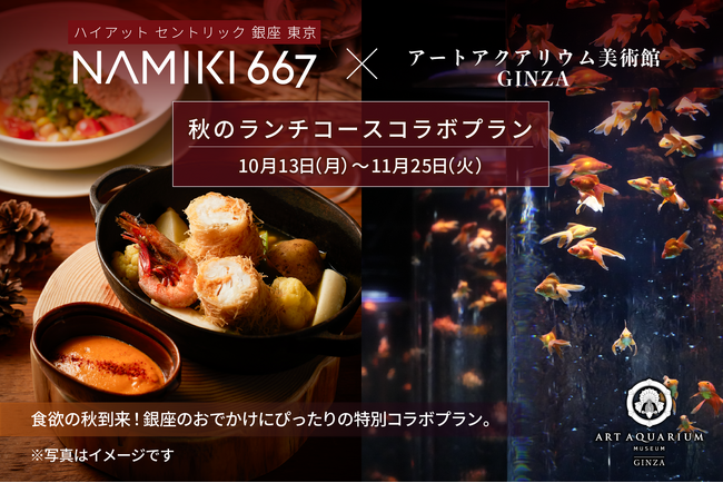 ハイアット セントリック 銀座 東京×アートアクアリウム美術館NAMIKI667の秋ランチとアートアクアリムの金魚アート鑑賞で「秋の銀座満喫プラン」