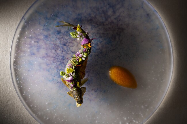 【ブレストンコート　ユカワタン】清流が育む「水のジビエ」の世界を最大限に。フルコースの常識を覆す新提案「ミニマル・ガストロノミースタイル」始動