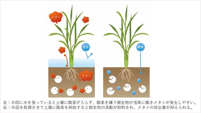 間断灌漑技術を活用したJCMクレジットの普及拡大を目指すコンソーシアムの組成について