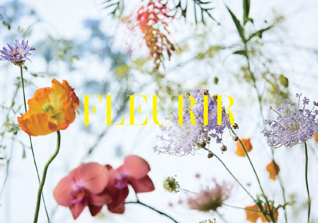 安心・安全の国産スカルプチュアブランド「FLEURIR」がリニューアル