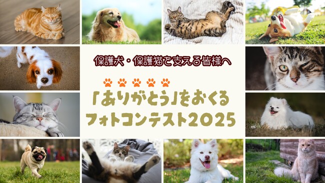 保護犬・保護猫を支える人へ「ありがとう」を贈るフォトコンテスト2025　作品募集開始！