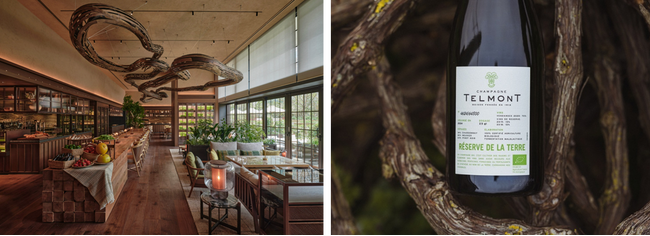 「パティーナ大阪 × テルモン Sustainable Champagne Dinner」地球を想うコラボレーションを祝す一夜限りのディナーイベント開催