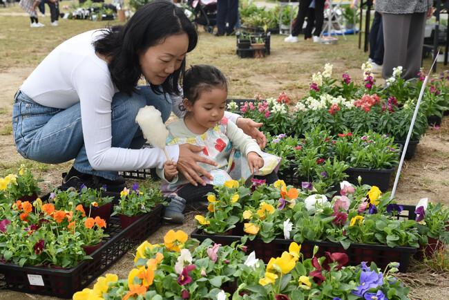 花と緑あふれる都市緑化祭を今年も開催 / 兵庫県川西市