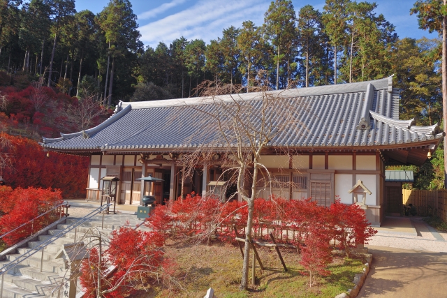 糟屋地区で商工会主催の地域に特化した「合同会社説明会」を開催！