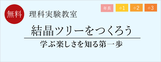 【栄光ゼミナール】年長～小学3年生対象、理科実験教室「結晶ツリーをつくろう」11月27日まで受付中！