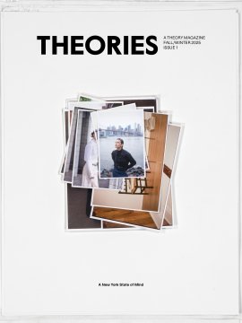 THEORIES