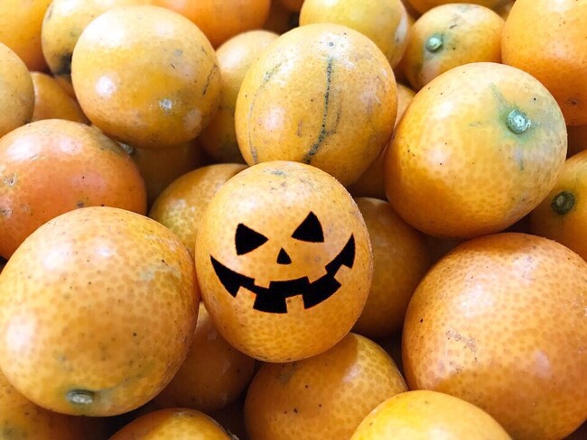 「選ばれなかった果物たちが、選ばれる日」規格外が主役のハロウィン