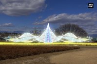 マリーゴールドの丘 イルミネーション大型リニューアル！15万球の煌めき装飾は11月22日から！