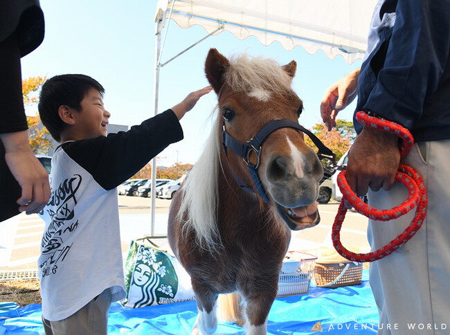 “ありがとう”からはじまる、人と動物の未来へ 和歌山県馬事畜産振興協議会・公益社団法人和歌山県獣医師会主催 「２０２５動物感謝デーinわかやま」に協賛およびブース出展します