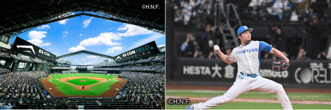 ｜野口観光グループ｜【どうみん限定】感動をありがとう！北海道日本ハムファイターズ特別プランご予約承り中