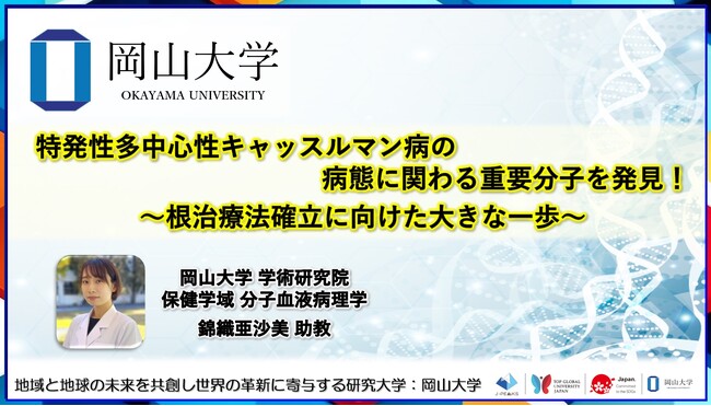 【岡山大学】特発性多中心性キャッスルマン病の病態に関わる重要分子を発見！～根治療法確立に向けた大きな一歩～