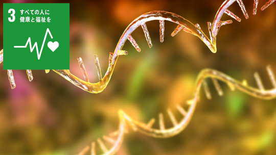 Staple核酸を用いた新規核酸医薬技術 「RNAハッキング」を開発