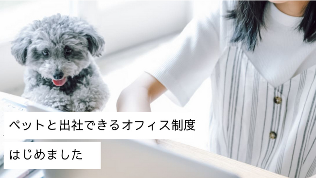 犬と働く、という新しい日常。ペットと出社できるオフィス制度スタート
