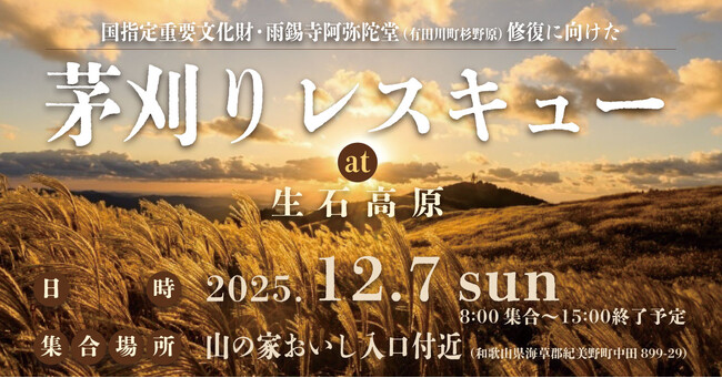 約600年続いた伝統祭事の復活を目指す！国指定の重要文化財「雨錫寺阿弥陀堂」茅葺き屋根の修復に向けた【茅刈りレスキュー】12月7日（日）開催