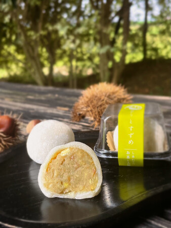 【みどりとすずめ】宮崎・須木産の「熟成和栗」使用。焙じ茶が香る新感覚和菓子「須木栗きんとん大福」を発売開始
