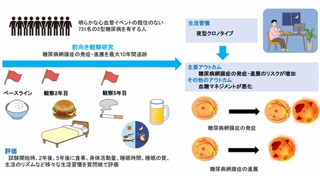 夜型生活リズムと網膜症リスクとの関連性を発見