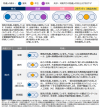 グローバル市場見通し（2025年10月）～社債の見通しを弱気に引き下げ～