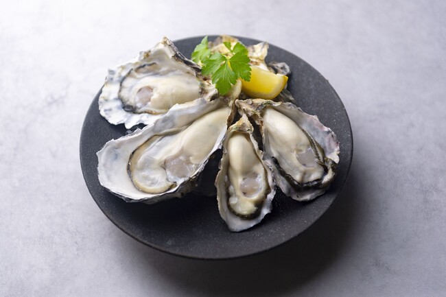 日本最大級のオイスターバーチェーンのゼネラル・オイスター『8TH SEA OYSTER Kitchen』11月4日(火)オープン