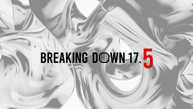 BreakingDown17.5のメインスポンサーにオンライン営業スクールの「WSS CLASS」が就任！
