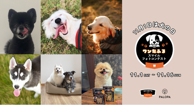 ドイツ発の人気ブランドがタッグ！11月1日「犬の日」から、QCHEFS×PALOPA合同「健やかな歯から、ワンだふるスマイルフォトコンテスト」スタートだワン！