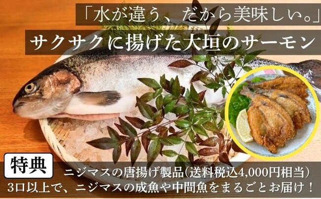 『養殖で拓く持続可能な未来　応援ファンド』募集開始