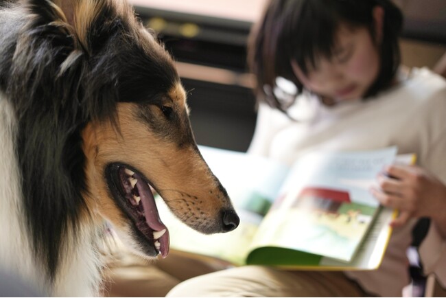 本を読むのは“わたし”と“わんこ”！公立図書館で「読書犬体験会」開催