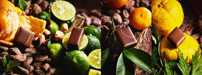 辻口博啓が手掛けるショコラトリー「LE CHOCOLAT DE H」世界最大級のショコラ品評会で9回連続ゴールドタブレット（金賞）を受賞。