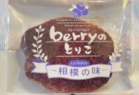 【京王百貨店】＼“橋本発”の地域共創をバックアップ！／相模原市産ブルーベリーを使った商品を販売開始します