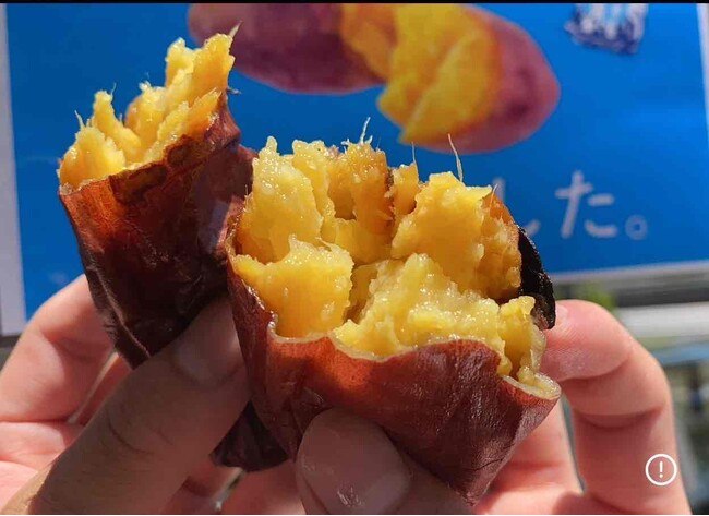 出店者決定！2025年11月1日～3日第4回芋フェス！ＩＮゲートウェイ函南