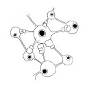 パンチドランカー パンチドランカー