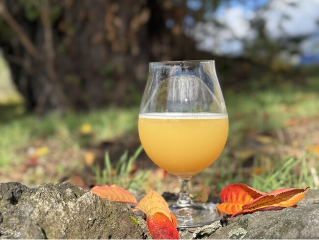 【よなよなビアワークス】トロピカルな香りに包まれる幸せ。数量限定『FAC　HAZY IPA2025 #1』