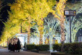 けやきライトパレード 2025