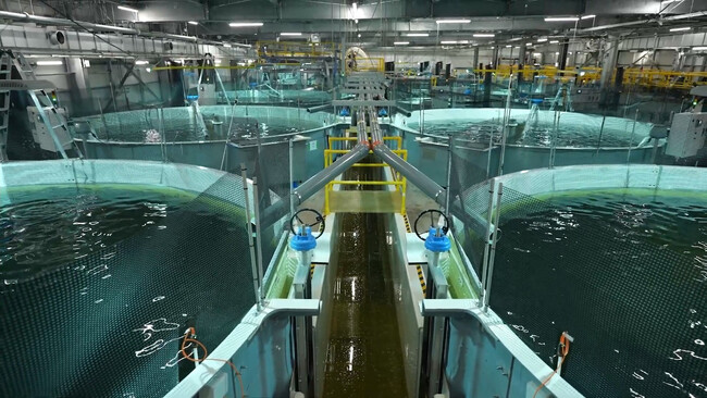 内陸でも海の魚が育つ ブームの陸上養殖-最新事情と課題　水産専門メディアがnoteで解説