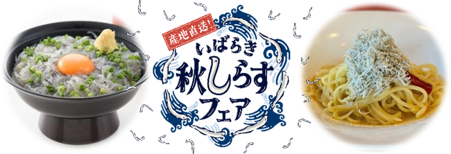 食欲の秋に、茨城の旬を味わう！茨城の豊かな海が育んだ新鮮なシラスを楽しめる「産地直送！いばらき秋しらすフェア」を開催