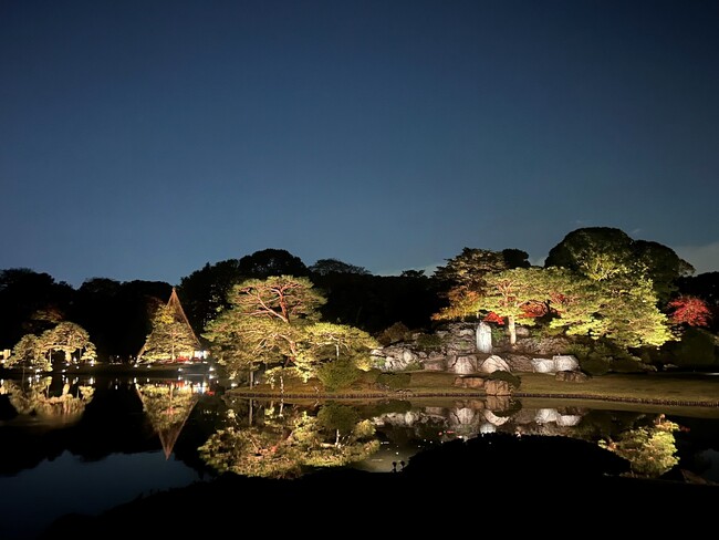 はとバス 2025~2026年冬の新商品を発表!東京の冬の夜を楽しむコースを増やします!