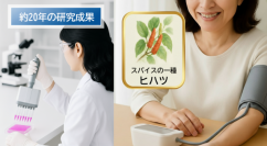 大正製薬　約20年にわたるヒハツ由来ピペリンの
研究成果について、血管を専門とした学術集会で発表