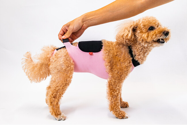 「毎日でも着せたい！」と大好評のエプロンデザイン！術後のキズぐちを優しくカバーする術後エプロンがリニューアル！