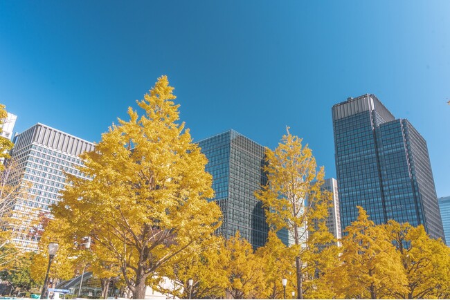 2025年10月版のデータ整備を行いました。