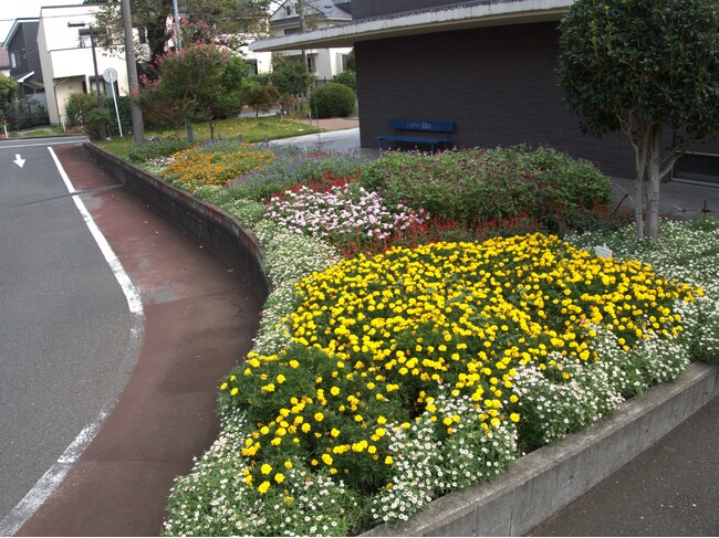 【東京都町田市】2025年度秋の花壇コンクール審査結果を発表します