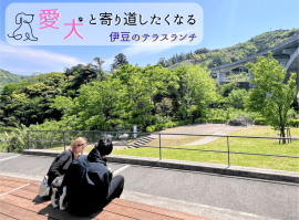 “癒やしのドッグテラス”誕生！