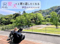 【ブロガー必見！】“癒やしのドッグテラス”誕生！　狩野川と天城連峰を望む開放的なカフェスペース“ペット同伴”ランチスポットが話題　道の駅 伊豆月ケ瀬