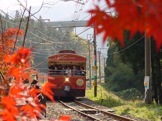 【JAF群馬】鉄道ファン必見！立ち入り禁止の廃線跡を歩く「秋の碓氷峠廃線ウォークイベント」を開催します