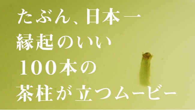 10月31日(金)の「日本茶の日」に合わせて都城市WEB-CM　『【開運】たぶん、日本一縁起のいい100本の茶柱が立つムービー』公開！