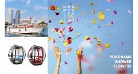 「花の港」特別企画を11/1(土)より開催！船とロープウェイを彩る花のインスタレーションなど