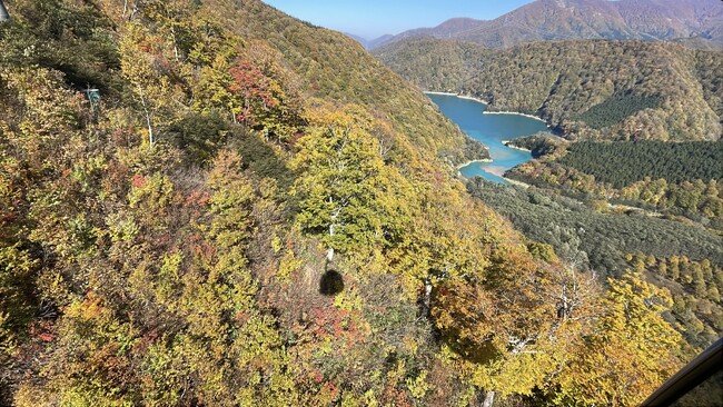 【苗場スキー場・かぐらスキー場】苗場ドラゴンドラ・田代ロープウェー山全体の紅葉が見頃ピークに！2つの日本一を紅葉と楽しむ！