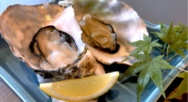 穴子に牡蠣に牛コウネ！広島食材をモダン和食で。『和Bistro さくら』がreDine広島に11/1オープン