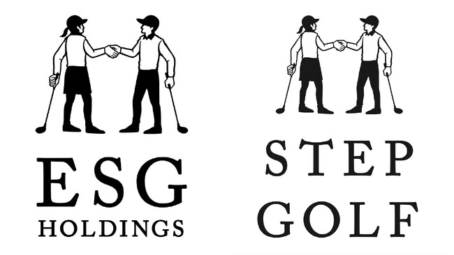 ESGホールディングス(ステップゴルフ)、自己資本による増資を実施