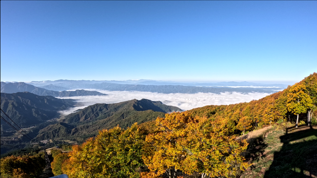【八海山ロープウェー】山全体の紅葉が見頃ピークに!雲海とのコラボレーションも。【運行期間】2025年11月16日(日)まで