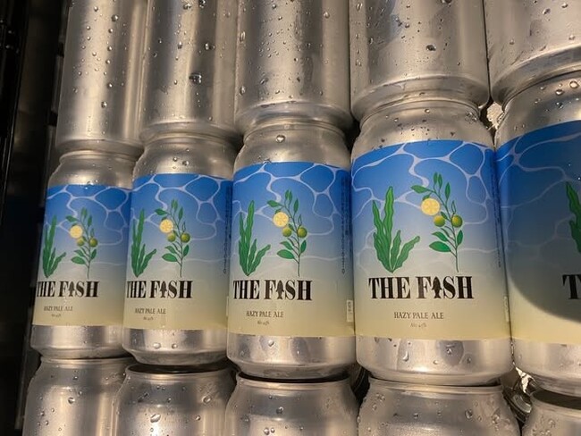 【幸海（さちうみ）ヒーローズ】始動。海の未来をつなぐクラフトビール『THE FISH』― 学生・企業・地域が描く共創のかたち ―