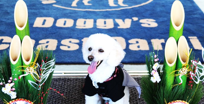 【茨城県：Doggy’s Coast Oarai】愛犬と過ごす贅沢なお正月”オールインクルーシブ＆屋内外ドッグラン付き”愛犬同伴型リゾートホテルでお正月限定イベント開催